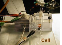 Cell Image