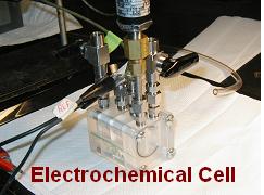 Cell Image