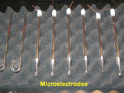 Microelectrode Image