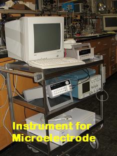 Instrument for Microelectrode Image