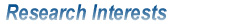 Research Interests